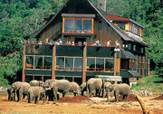 Professional Kenya Tour Packages in UK